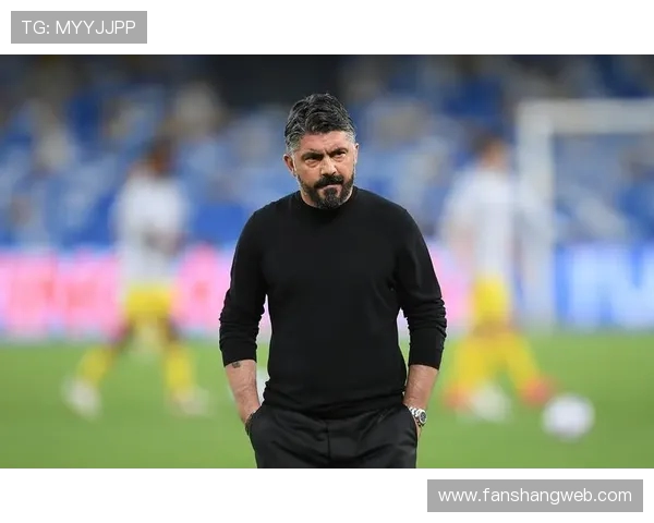 加图索：我们有能力应对北爱尔兰；希望意甲能为国家队让路